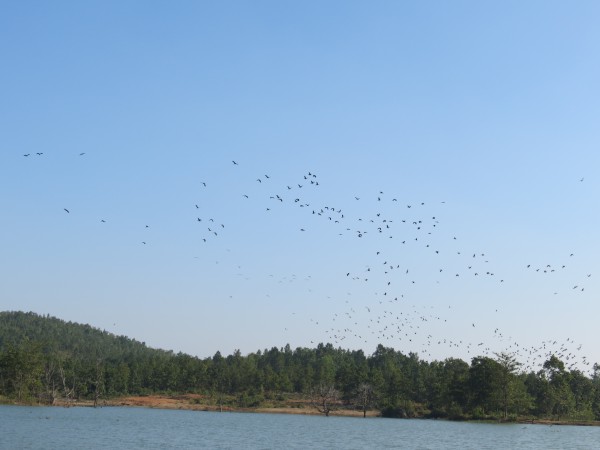 Khandarani Dam