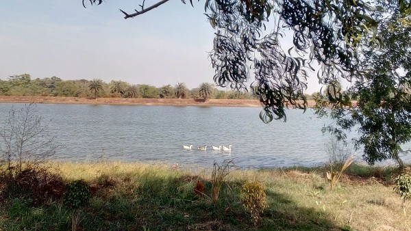 Pakhiraloy, Gopiballabpur